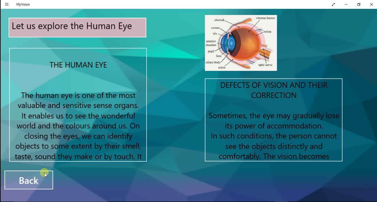 MY Vision Snapshots