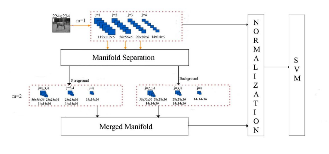 Complete Network Architecture